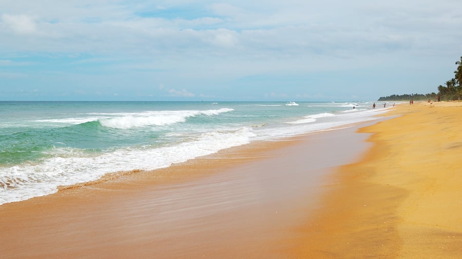 Stranden vid Bentota