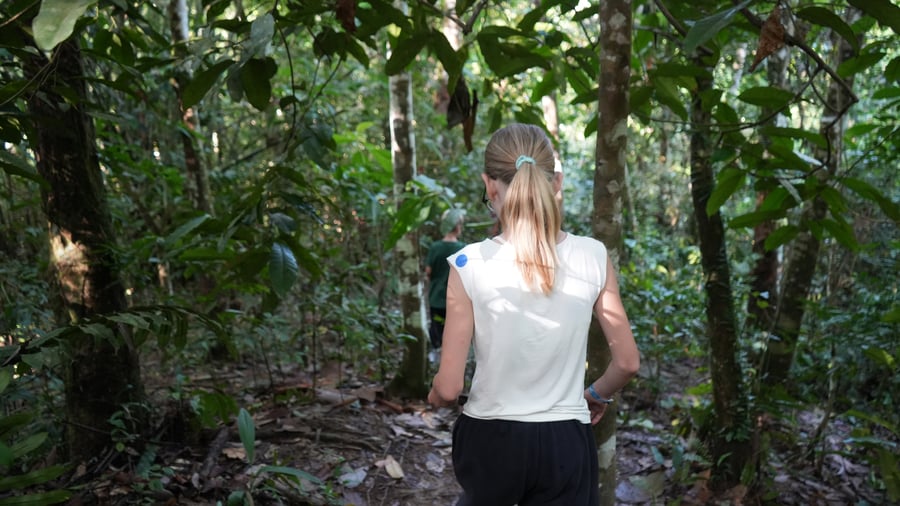 Djungeltrekking i Gunung Leuser National Park