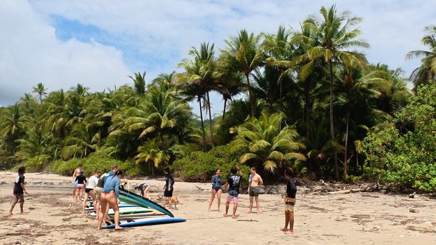Beste stranden om te leren surfen