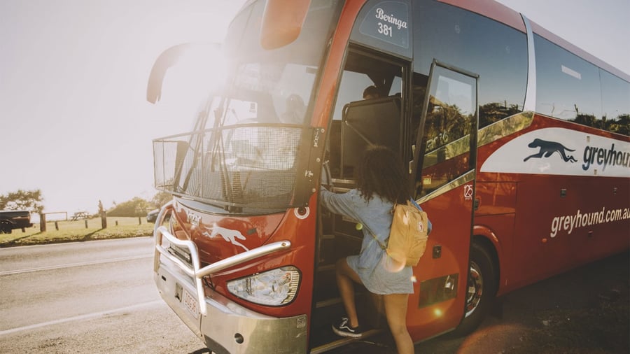 Hop on Hop off med Greyhound. 