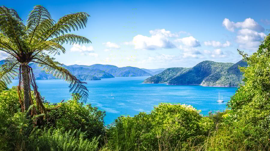 Udsigt fra Queen Charlotte Road