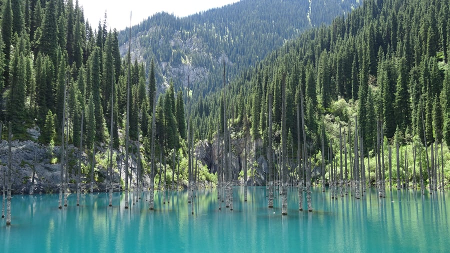 Kazakhstan offers something all year around. 