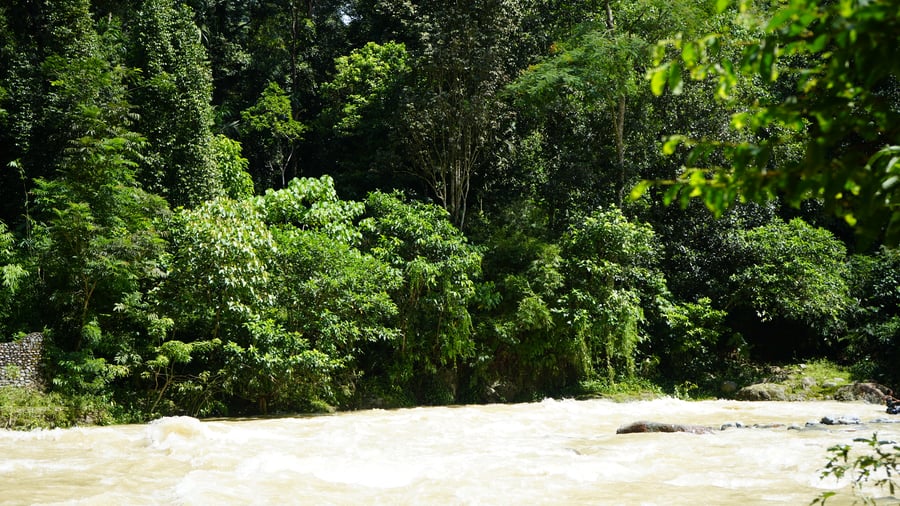Landscape image of sunny Sumatra