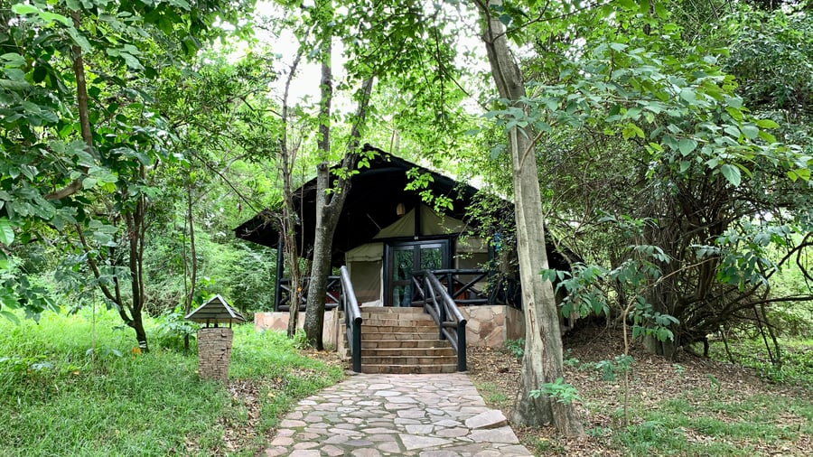 Bo midt i naturen i hjertet af Masai Mara