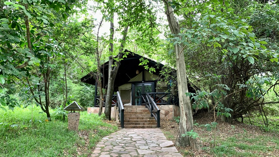 Bo midt i naturen i hjertet af Masai Mara