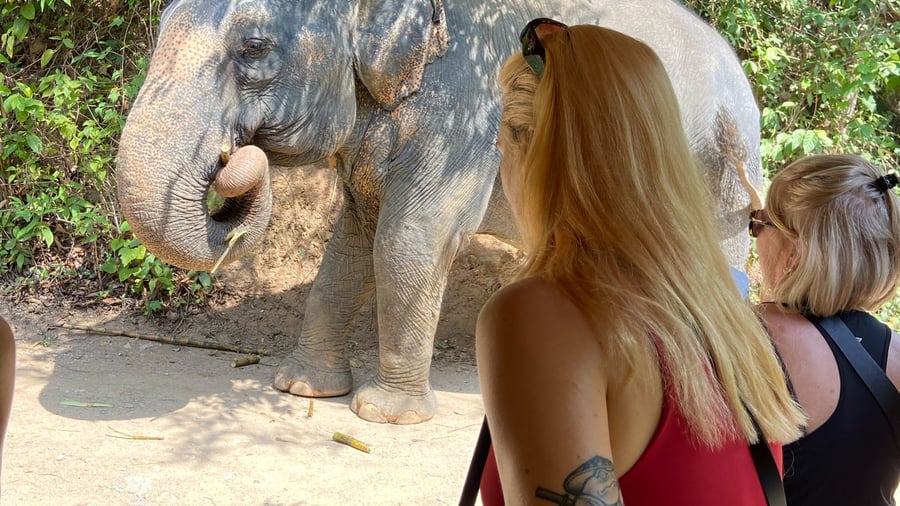 Elephant Sanctuary Phuket
