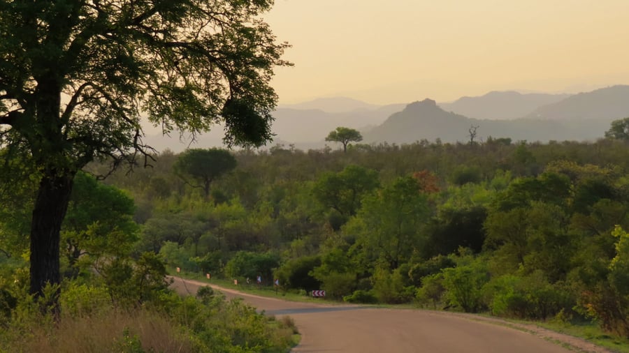 Explore the different sides of South Africa