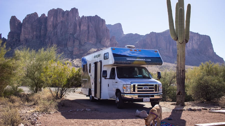Vælg frit blandt naturens campingpladser