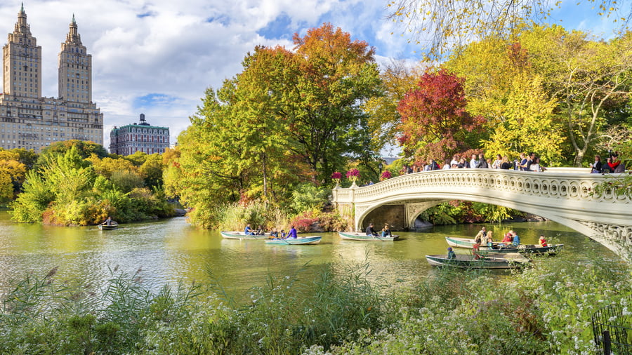 Central Park, New York