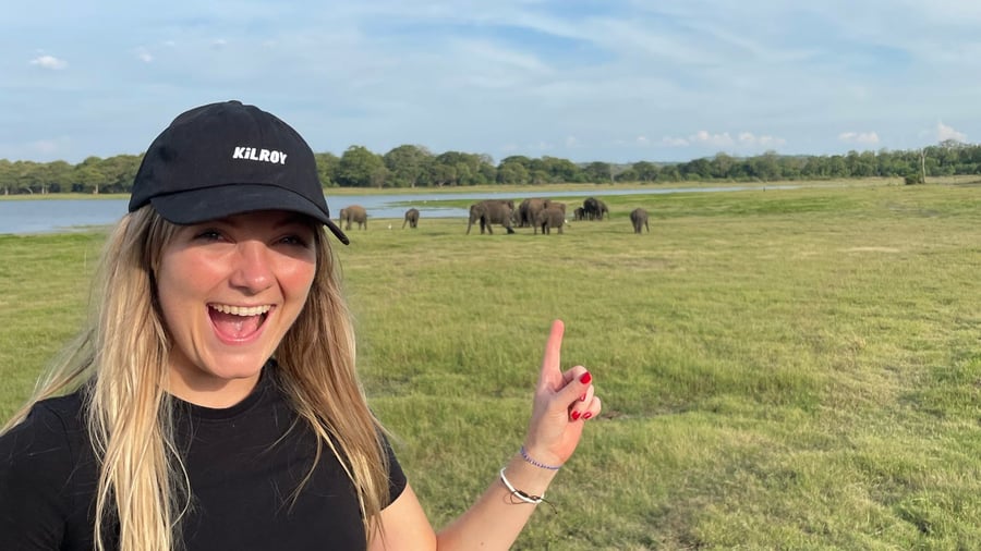 Must-do: Elephant spotting