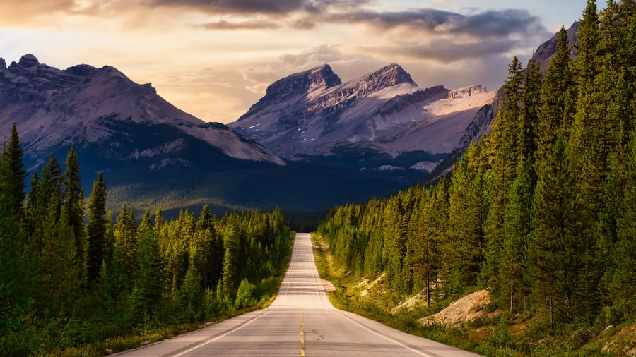 Icefields Parkway er en oplevelse i sig selv