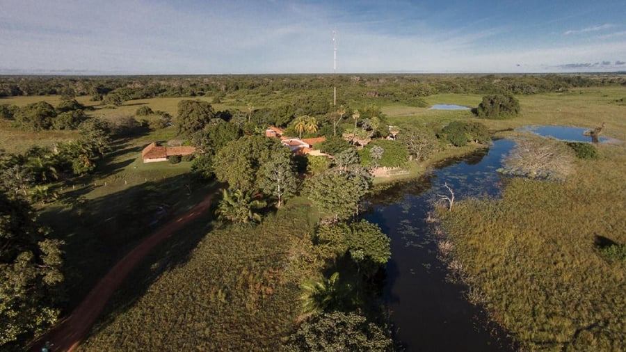 Het moerasgebied Pantanal