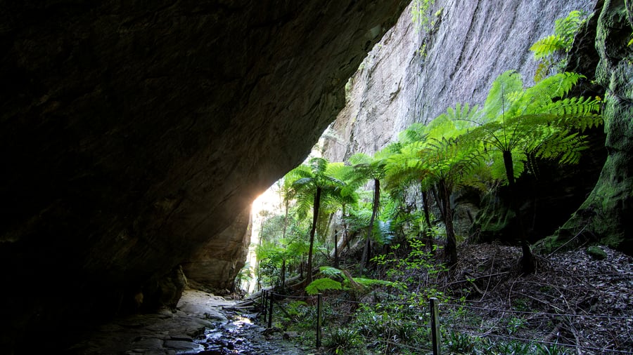 Carnarvon Gorge