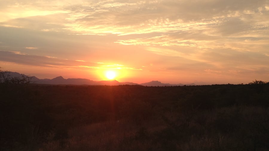 Sunset in Johannesburg