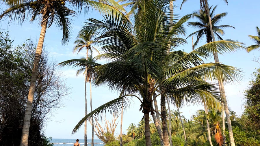 Tayrona National Park