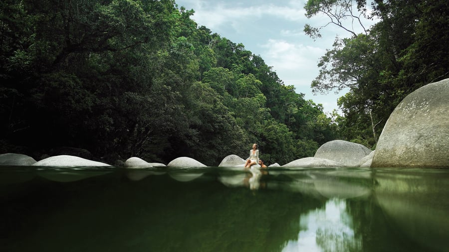 Nyt regnskogens lyder i Mossman Gorge