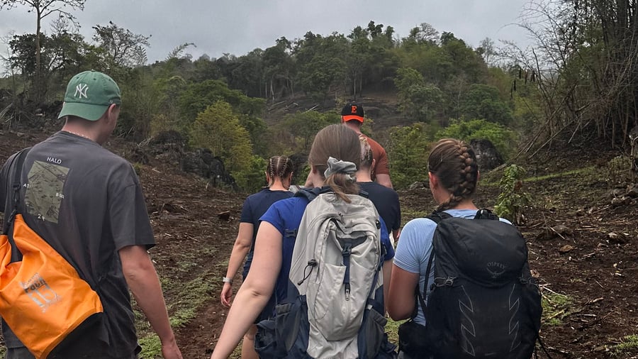 Hike through the jungle