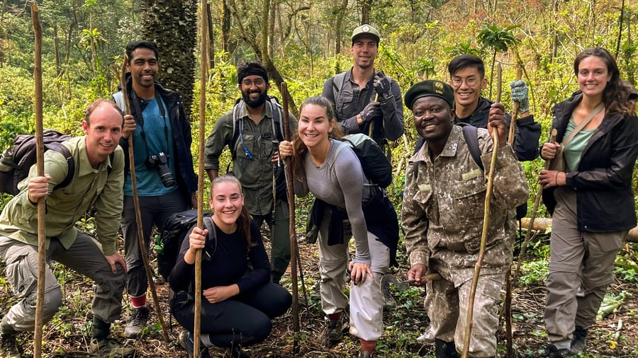 Go on a gorilla trekking in Uganda