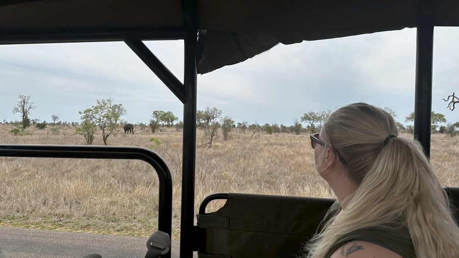 Försök att se the big 5 i Krugerparken