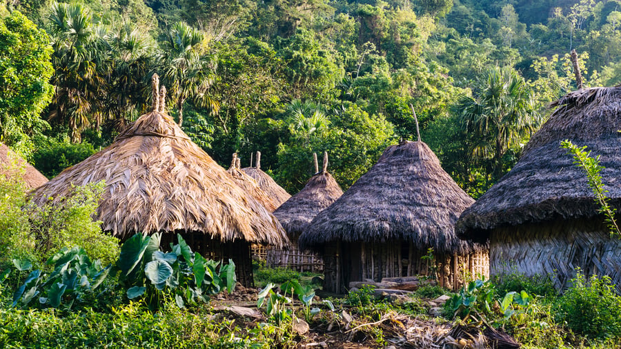 Traditional indigenous huts