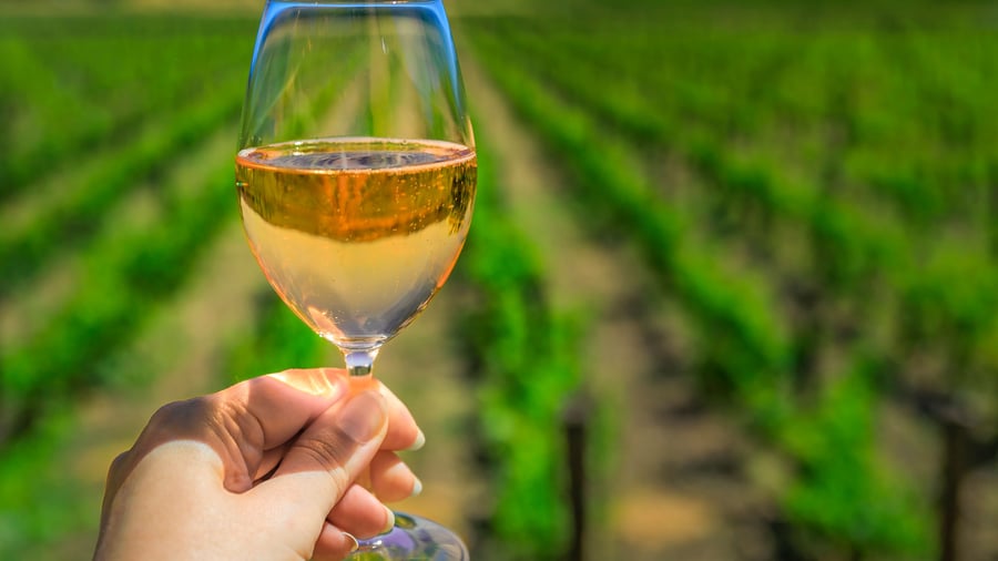 Napa Valley, Californien, USA