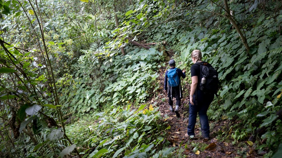 Borneo, Malaysia