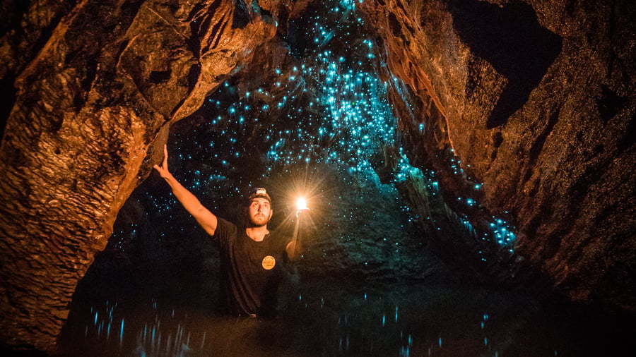 Waitomo Caves