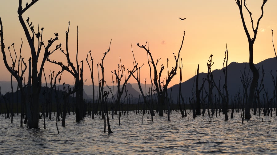 Gal Oya National Park
