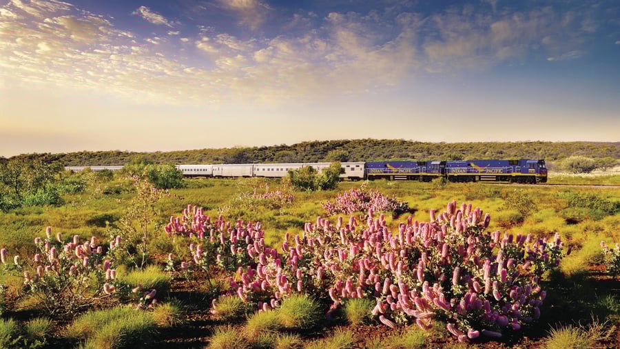 Med Indian Pacific fra Perth til Adelaide