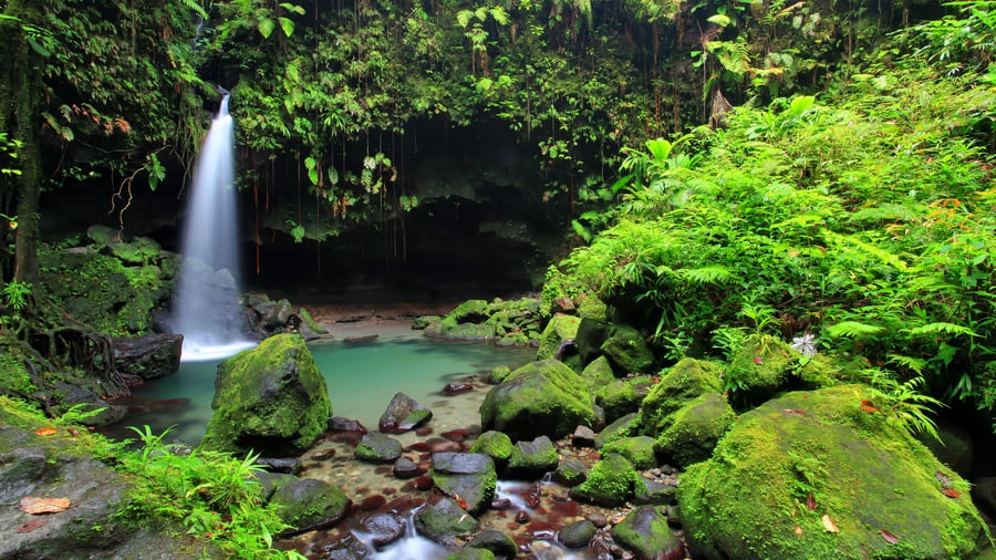 Regnskov og vandfald i Dominica