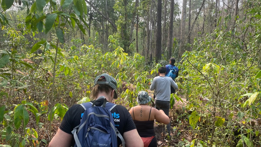 Hike with a local tour guide