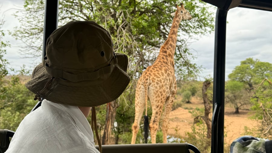 Spot de big 5