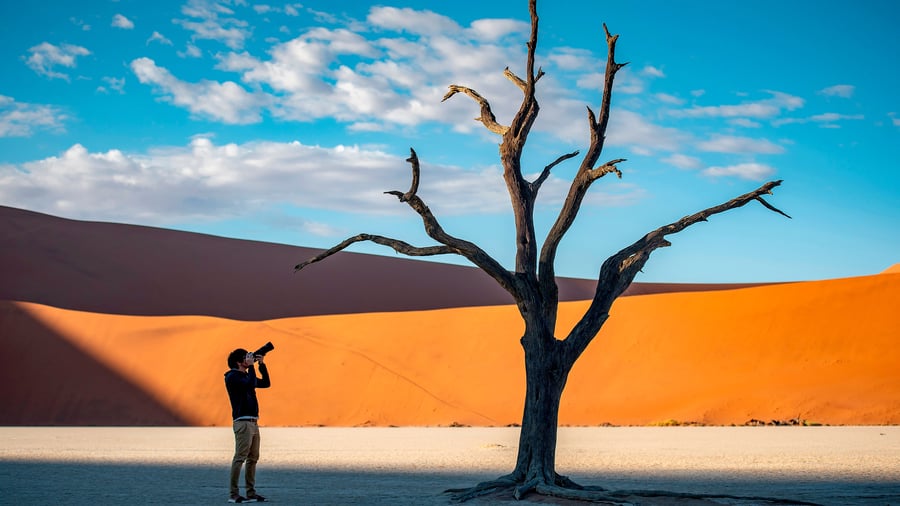 Deadvlai i Namib ørkenen i Namibia