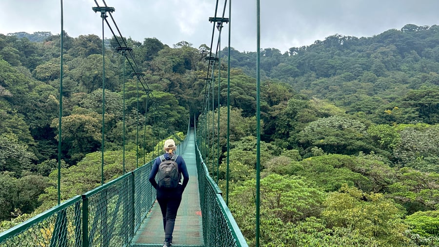 Walk among the treetops