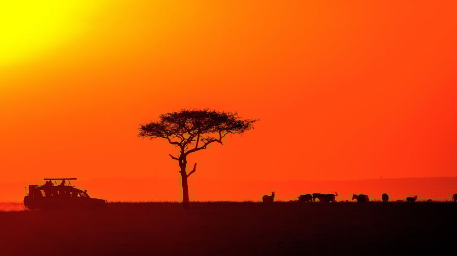 Solnedgang over Masai Mara National Reserve, Kenya