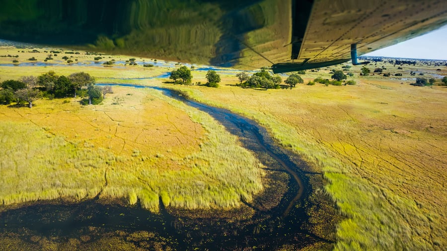 Okavango delta set fra luften