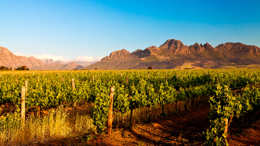 Stellenbosch, Sydafrika