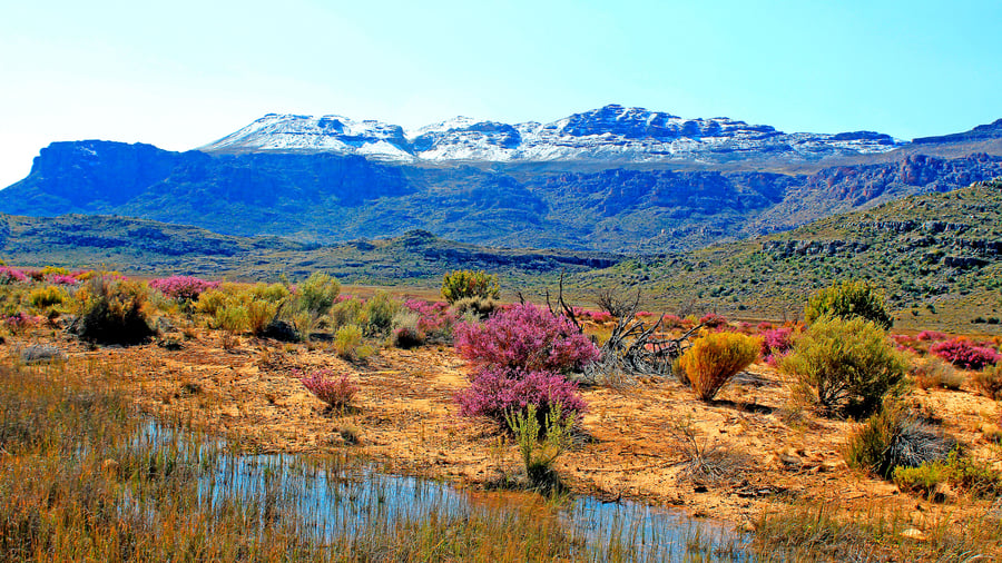 Cederberg området, nord for Cape Town