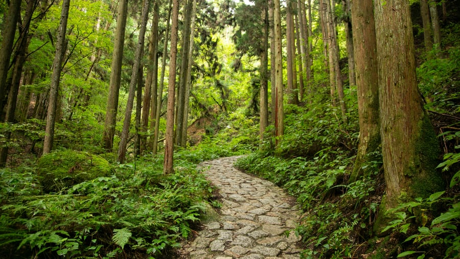 Nakasendo-ruten i Kiso-dalen