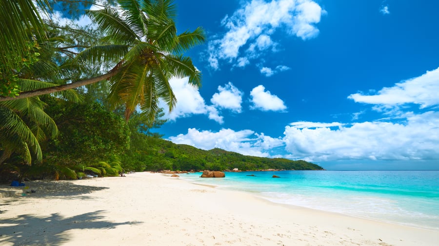 Seychellerna bjuder på vackra vita sandstränder