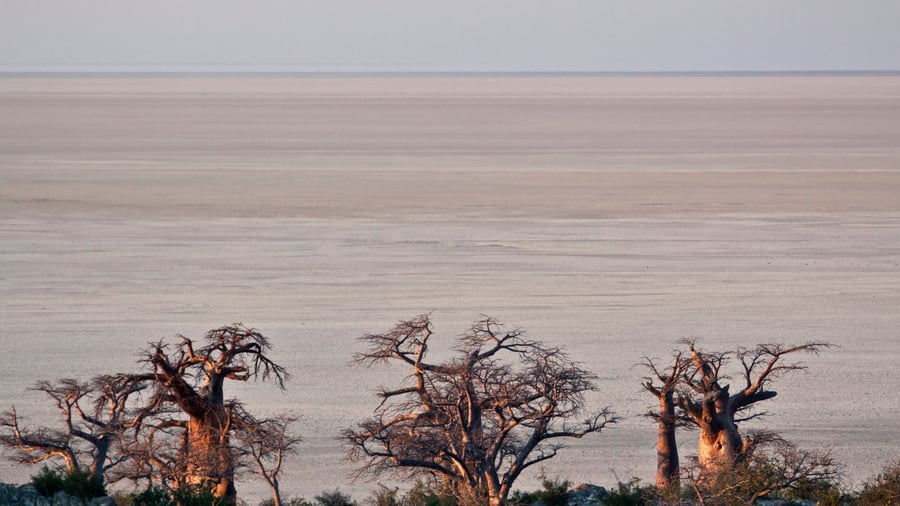 Makgadikgadi Pans, Botswana