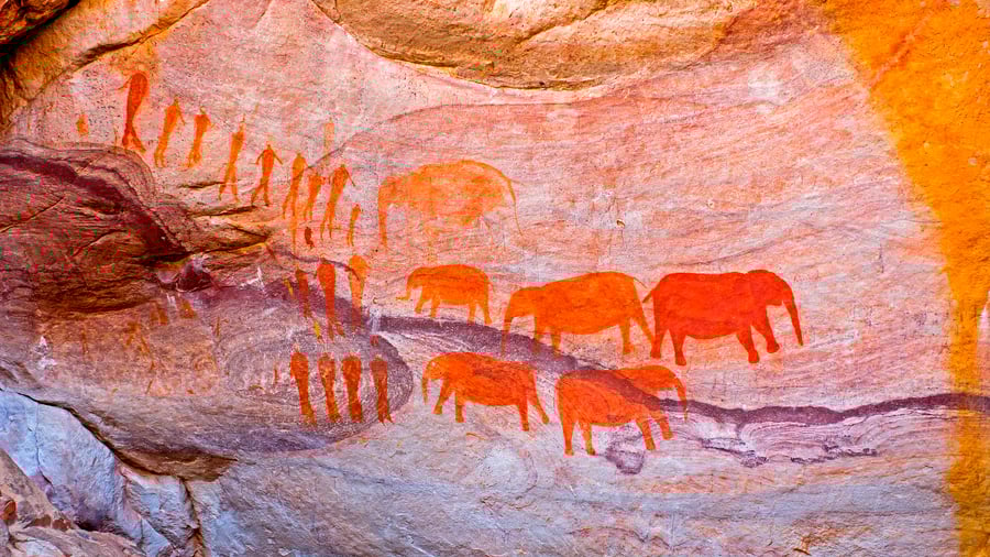 Hulemaleri af mennesker og elefanter i Cederberg