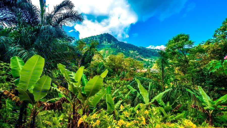Ranomafana National Park, Madagaskar