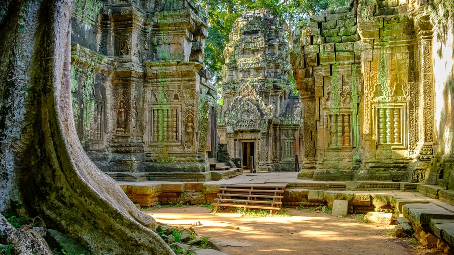 Ta Prohm-templet i Angkor Wat-komplekset