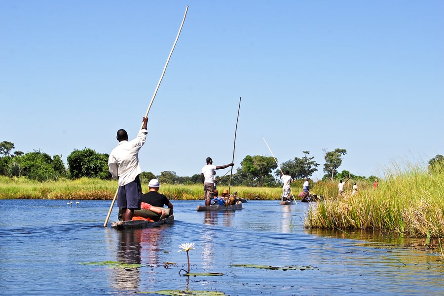 Safari i Okavango-deltaet