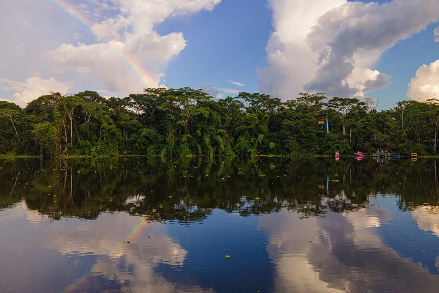 de Amazone in Peru