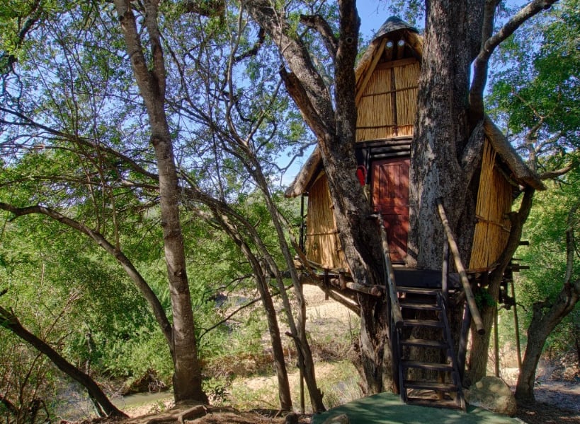 Bo i Tree Houses på savannen. 
