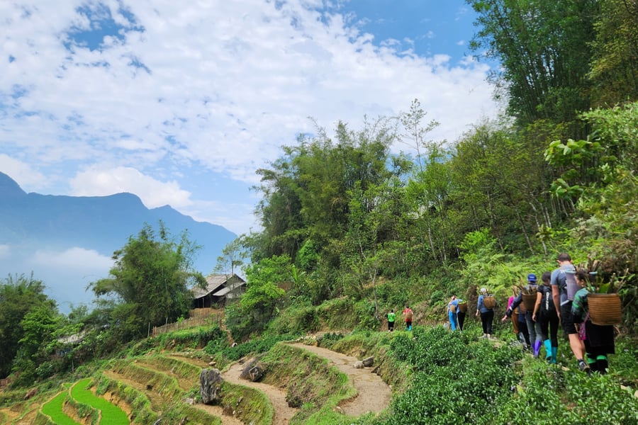 Vandra bland risterrasserna i Sapa.