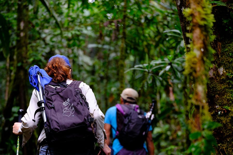 Upplev Amazonas från Peru. 