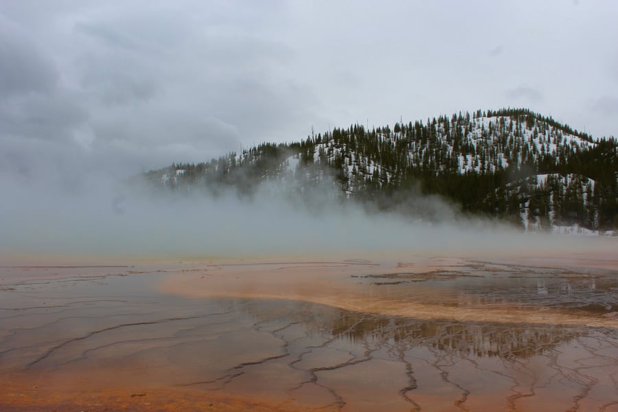 Find the best time to visit Yellowstone